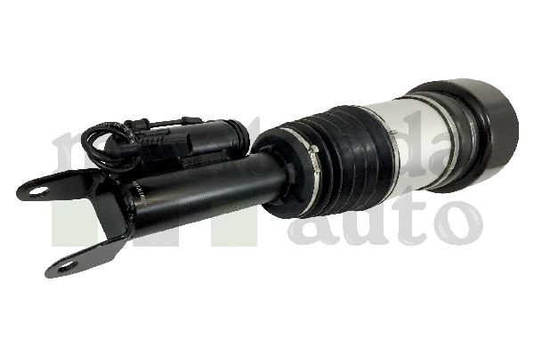 Air Suspension Strut