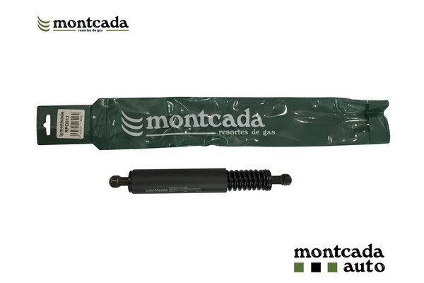 Gas Spring, boot/cargo area