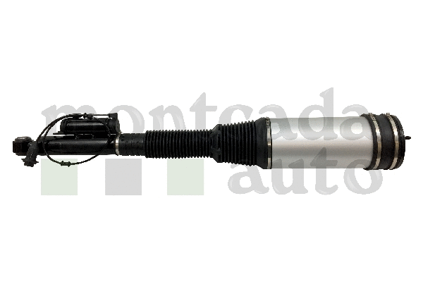 Air Suspension Strut (0296200)