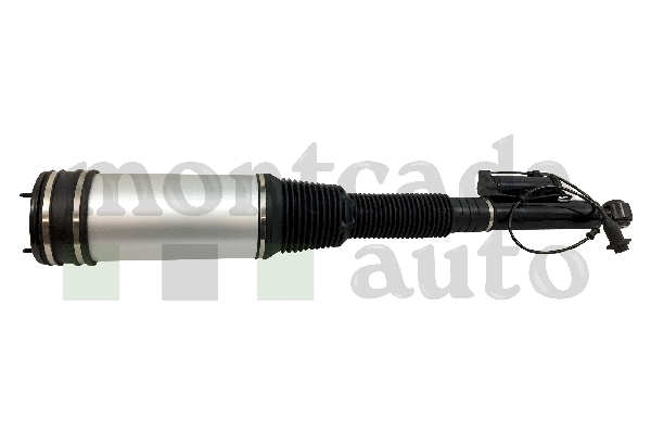 Air Suspension Strut