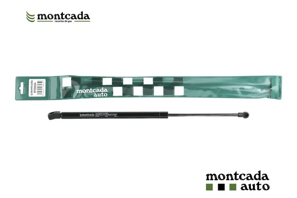 Gas Spring, boot/cargo area