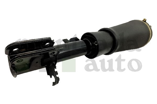 Air Suspension Strut