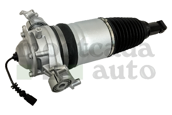 Air Suspension Strut