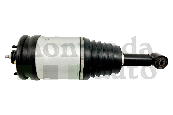 Air Suspension Strut