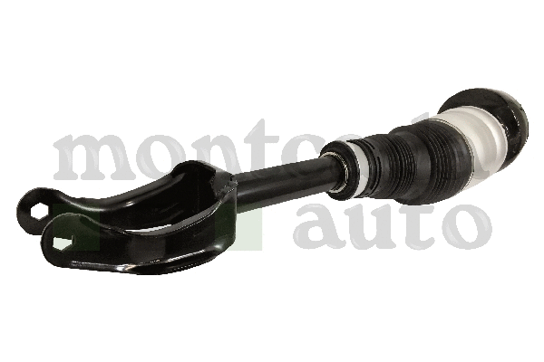 Air Suspension Strut