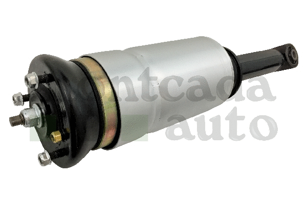 Air Suspension Strut