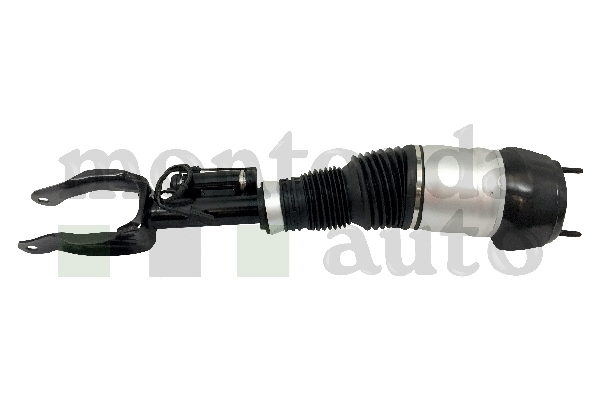 Air Suspension Strut (0296860)