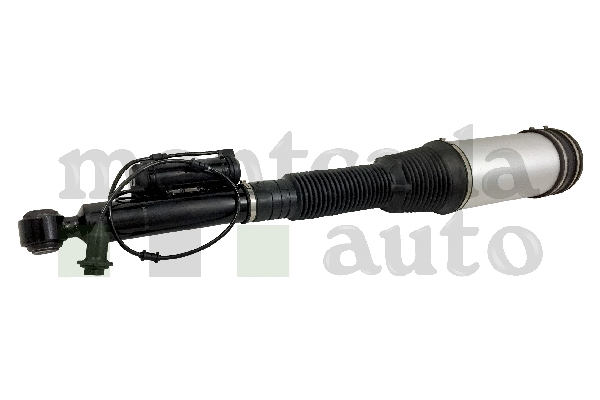 Air Suspension Strut