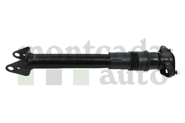 Shock Absorber (0296205)
