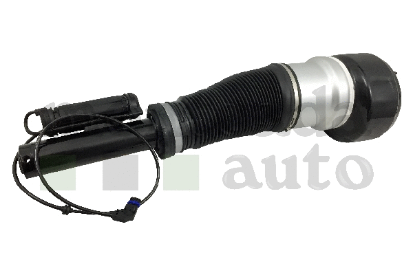 Air Suspension Strut
