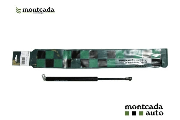 Gas Spring, boot/cargo area