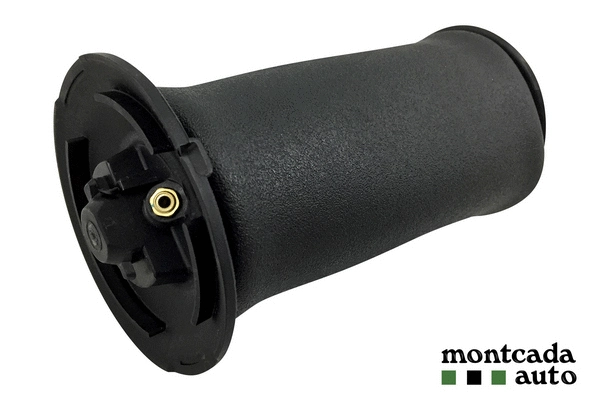 Air Spring, suspension (0296320)