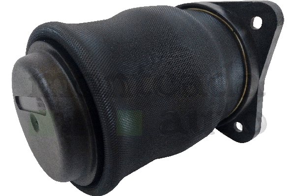 Bellow, air suspension (0296270)