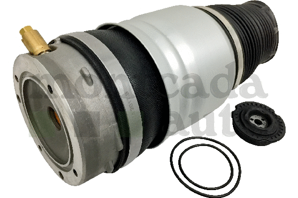 Air Suspension Strut (0296050)