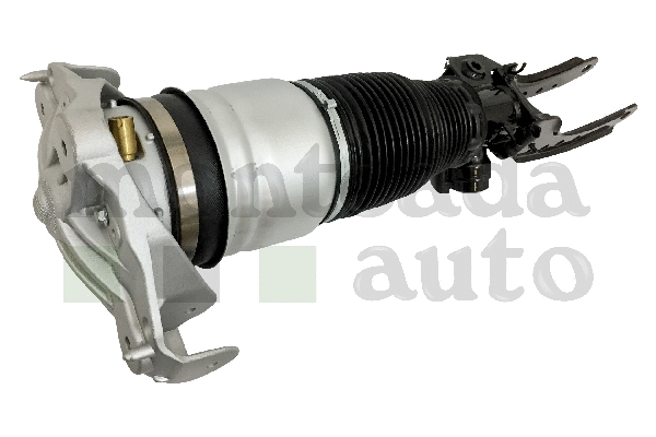 Air Suspension Strut