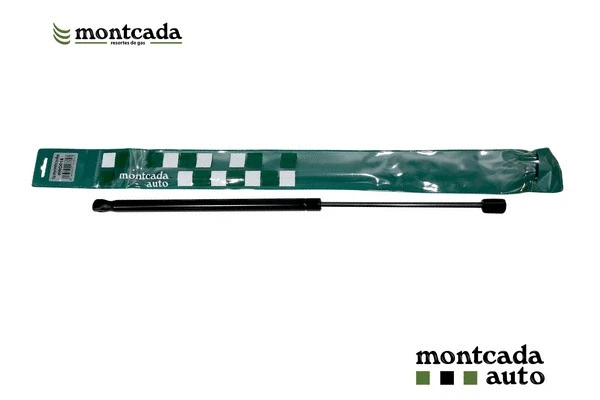 Gas Spring, boot/cargo area