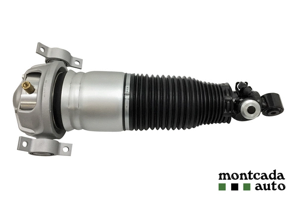 Air Suspension Strut