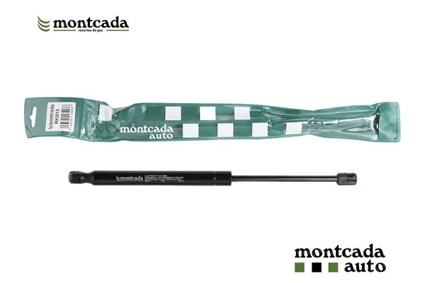 Gas Spring, boot/cargo area