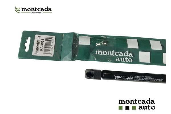 Gas Spring, bonnet (RAU035)