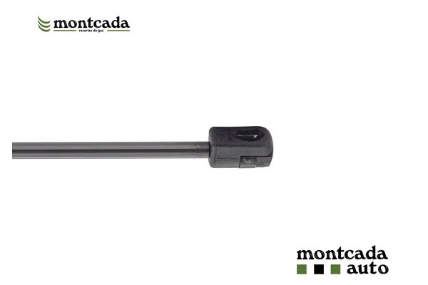 Gas Spring, boot/cargo area