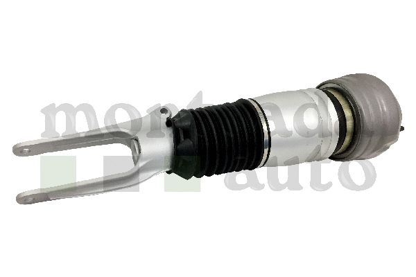 Air Suspension Strut