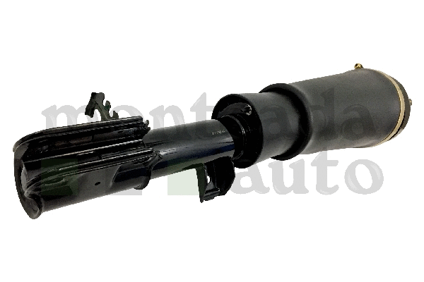 Air Suspension Strut