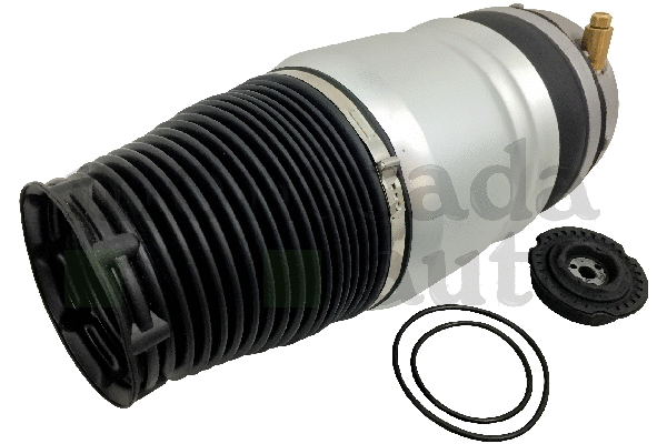 Air Suspension Strut
