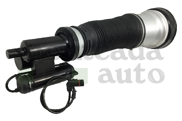 Air Suspension Strut