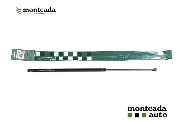 Gas Spring, boot/cargo area