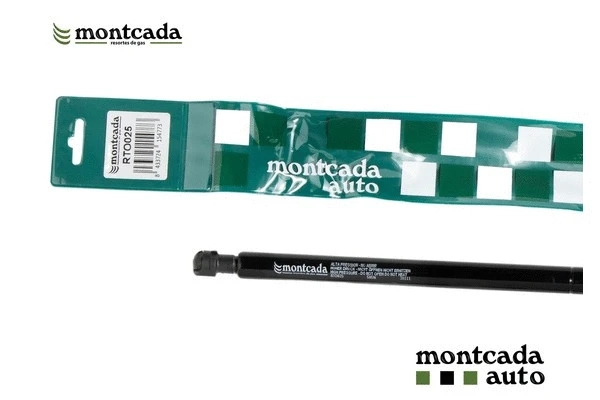 Gas Spring, boot/cargo area (RTO025)