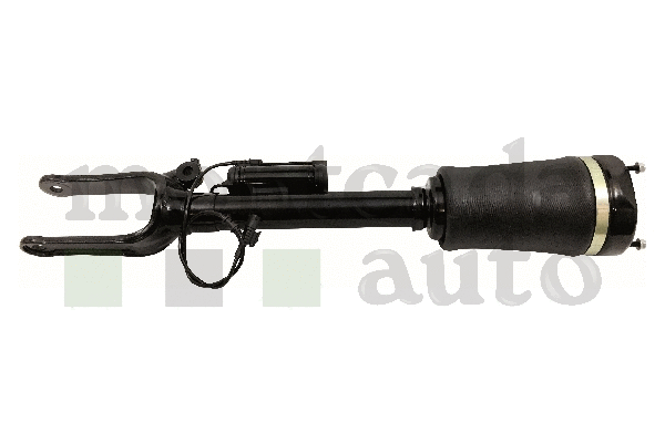 Air Suspension Strut (0296150)