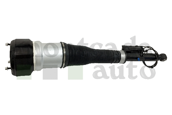 Air Suspension Strut