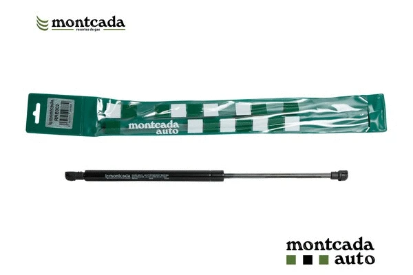 Gas Spring, boot/cargo area