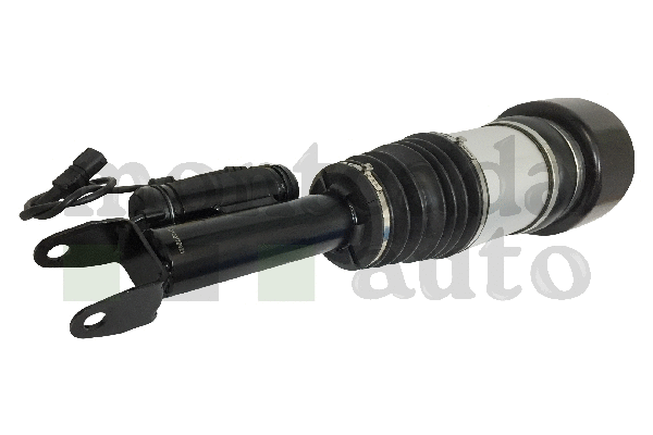 Air Suspension Strut