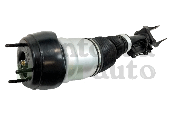 Air Suspension Strut
