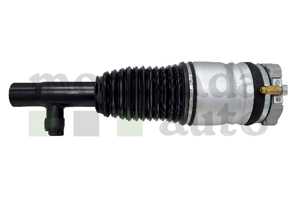 Air Suspension Strut (0296650)