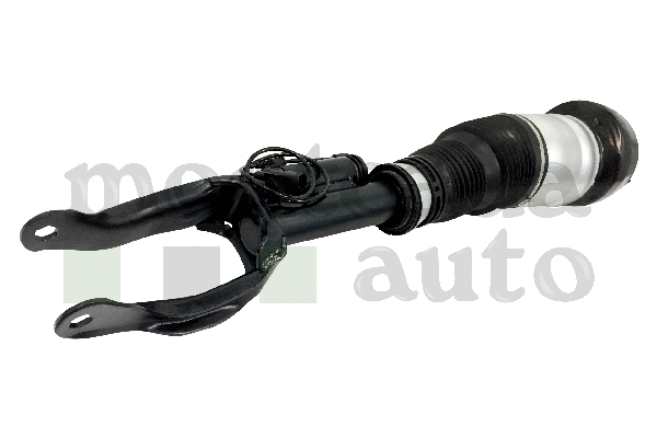 Air Suspension Strut