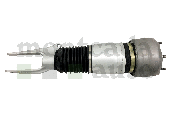 Air Suspension Strut (0296990)