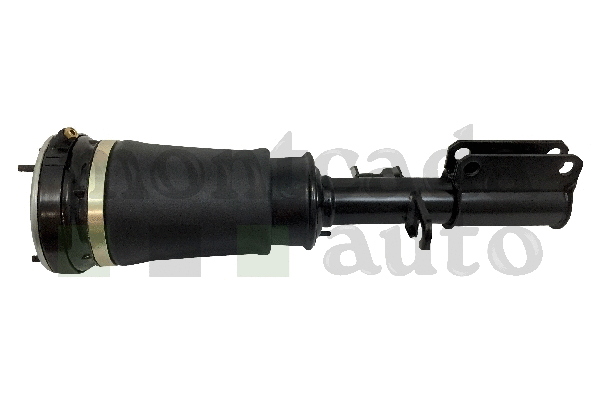 Air Suspension Strut