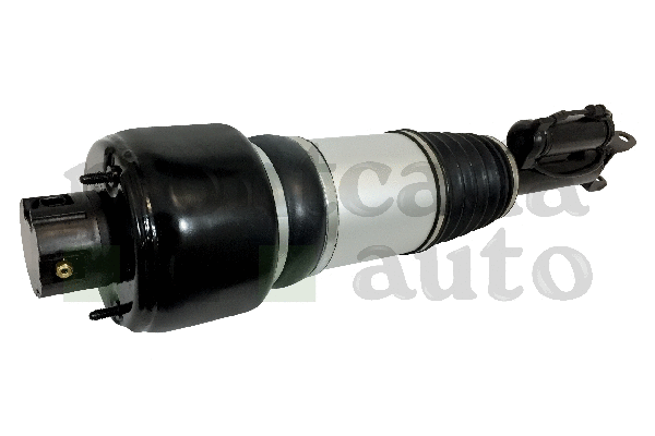 Air Suspension Strut