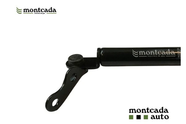 Gas Spring, boot/cargo area