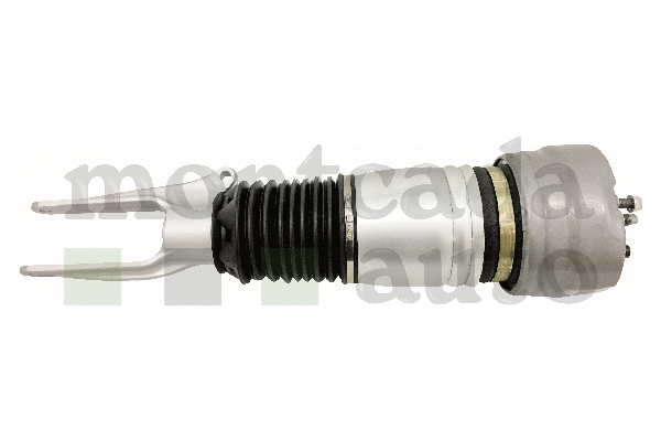 Air Suspension Strut (0296015)