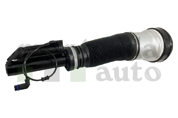 Air Suspension Strut