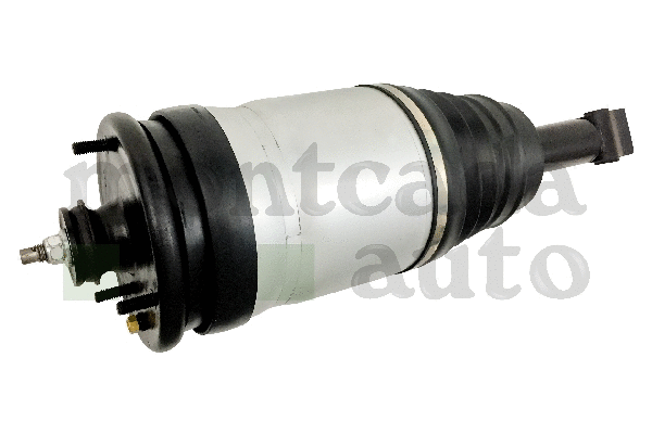 Air Suspension Strut