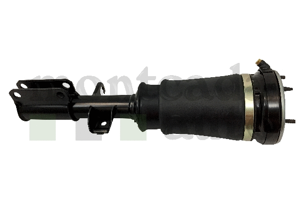 Air Suspension Strut (0296910)