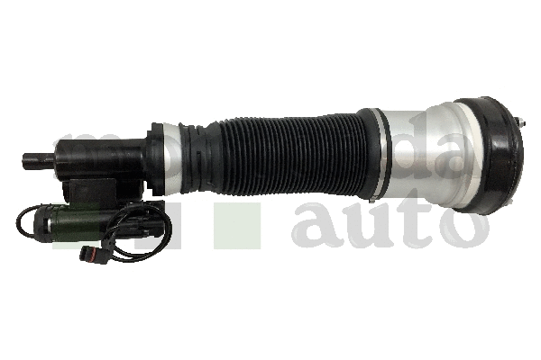 Air Suspension Strut (0296500)