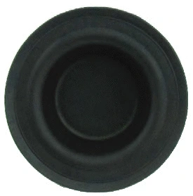 Repair Kit, brake caliper (TFEKPP.3.20B.76)