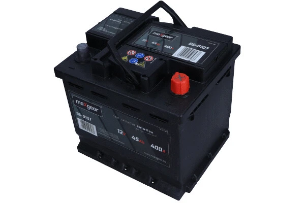 Starter Battery