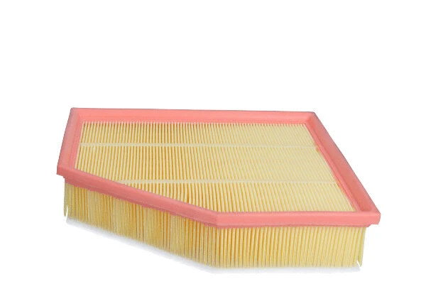 Air Filter (26-2507)