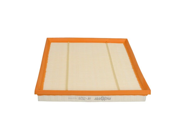 Air Filter (26-2509)